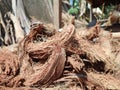 Closeup coconut fiber for texture background.