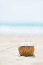 Closeup on coconut laying on beach