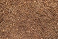 Closeup of cocopeat or coco peat texture background