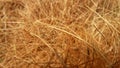 Closeup cocopeat fibers