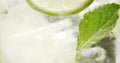 Closeup of coctail. Mojito, tonik water with mint and lemon and lime and ice cubes Royalty Free Stock Photo