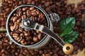 Closeup coffee beans with green leaf