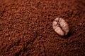 Closeup of coffee beans at the mixed heap of roasted coffee with copy space for text. Concept of Coffee freshness Royalty Free Stock Photo