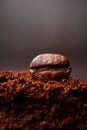 Closeup of coffee beans at the mixed heap of roasted coffee with copy space for text. Concept of Coffee freshness Royalty Free Stock Photo