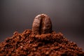 Closeup of coffee beans at the mixed heap of roasted coffee with copy space for text. Concept of Coffee freshness Royalty Free Stock Photo