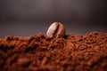 Closeup of coffee beans at the mixed heap of roasted coffee with copy space for text. Concept of Coffee freshness Royalty Free Stock Photo