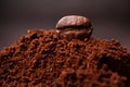 Closeup of coffee beans at the mixed heap of roasted coffee with copy space for text. Concept of Coffee freshness Royalty Free Stock Photo