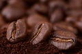 Closeup of coffee beans at roasted coffee heap. Royalty Free Stock Photo