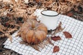 Closeup of coffee cup, enamel mug with orange pumpkin on white checkered blanket in sunny day. Defocused autumn forest