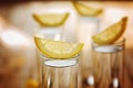 Closeup cold glass of vodka with lemon. Royalty Free Stock Photo