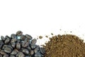 Closeup collected coffee beans with coffee powder on white Royalty Free Stock Photo