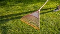 Closeup of collecting fallen tree leaves with rakes at backyard garden. Concept of houseworking, gardening and suburban life