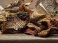 A closeup collection of dried mushrooms
