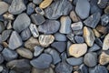 CloseUp Collection of Smooth Mixed Gray and EarthToned Pebbles on Natural Surface Royalty Free Stock Photo