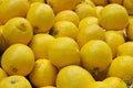 Closeup of collection of whole lemons