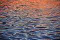 Closeup Colorful Abstract Sunrise Reflection On Danube River Royalty Free Stock Photo