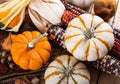 Autumn Still Life of Pumpkins and Corn