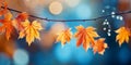 closeup colorful autumn bright autumn leaf, beautiful serene scenery, copy space for greeting card