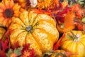 Closeup of a colorful autumn display with a squash fruit Royalty Free Stock Photo