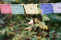 Closeup of colorful frayed cotton pieces hanging on a line on a blurry background