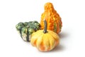 Colorful gourds for halloween decoration on white background