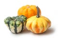 Colorful gourds for halloween decoration on white background