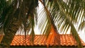 Closeup colorful image of palm tree hanging over spanish style roof Royalty Free Stock Photo