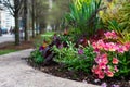 Colorful Plants and Flowers on the Sidewalk on Michigan Avenue in Chicago Royalty Free Stock Photo