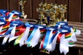 Closeup of colorful ribbons awards rosettes and trophys for winners In equitation competition Royalty Free Stock Photo