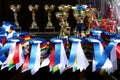 Closeup of colorful ribbons awards rosettes and trophys for winners In equitation competition Royalty Free Stock Photo