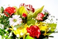 Closeup of colorful spring flowers bouquet on white background Royalty Free Stock Photo