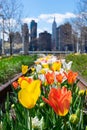 Colorful Tulips during Spring at Gantry Plaza State Park in Long Island City Queens Royalty Free Stock Photo