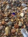 Closeup of colorful wet stones along the shoreline