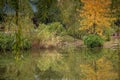 closeup of colorful woods  by the lake Royalty Free Stock Photo