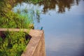 Common kingfisher waiting for its prey. Medium-sized kingfisher bird standing on the dam of a bridge