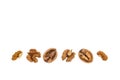 Common walnut kernels on white background with copy space above Royalty Free Stock Photo