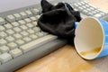 Closeup of computer keyboard, blue large cup of coffee, tea suddenly spills, hot liquid spoils equipment, concept of need to Royalty Free Stock Photo