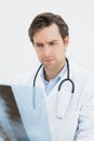 Closeup of a concentrated doctor examining spine x-ray Royalty Free Stock Photo