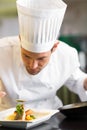 Closeup of a concentrated male chef garnishing food Royalty Free Stock Photo