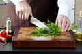 Closeup of a cook man cutting parsley, dill chopped
