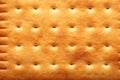 Closeup cookie biscuits texture background Royalty Free Stock Photo