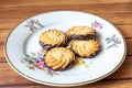 Closeup of cookies on a plate. Tasty biscuit. Sweet dessert. Delicious cookie food