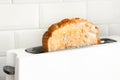 Closeup cooking bread with toaster on counter bar kitchen in morning