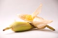 Closeup of corn cob isolated on a white background Royalty Free Stock Photo