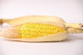 Closeup of corn cob isolated on a white background Royalty Free Stock Photo