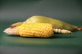 Closeup of corn cob isolated on a white background Royalty Free Stock Photo