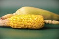Closeup of corn cob isolated on a white background Royalty Free Stock Photo