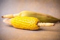 Closeup of corn cob isolated on a white background Royalty Free Stock Photo