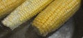 Closeup of the corn cobs in water Royalty Free Stock Photo