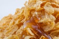 Closeup for corn flakes with honey dropped Royalty Free Stock Photo